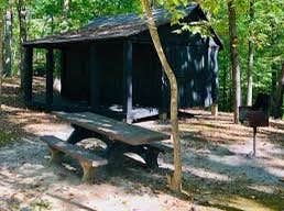 Camper submitted image from Cabin Camp 3 — Prince William Forest Park - 2