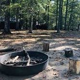Review photo of Cabin Camp 3 — Prince William Forest Park by David W., May 21, 2022
