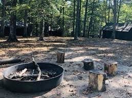 Camper submitted image from Cabin Camp 3 — Prince William Forest Park - 3
