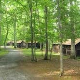 Review photo of Cabin Camp 3 — Prince William Forest Park by David W., May 21, 2022