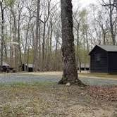 Review photo of Cabin Camp 3 — Prince William Forest Park by David W., May 21, 2022