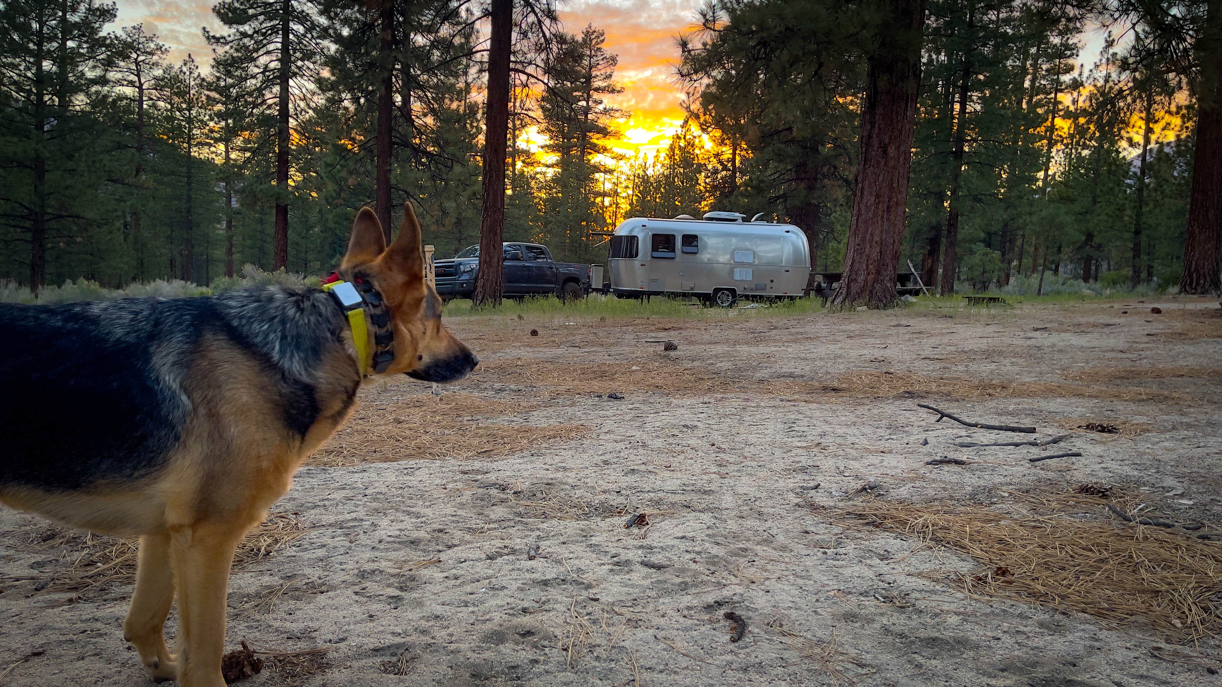 Camper-submitted photo at Coon Creek Yellow Post Sites near Forest Falls, CA