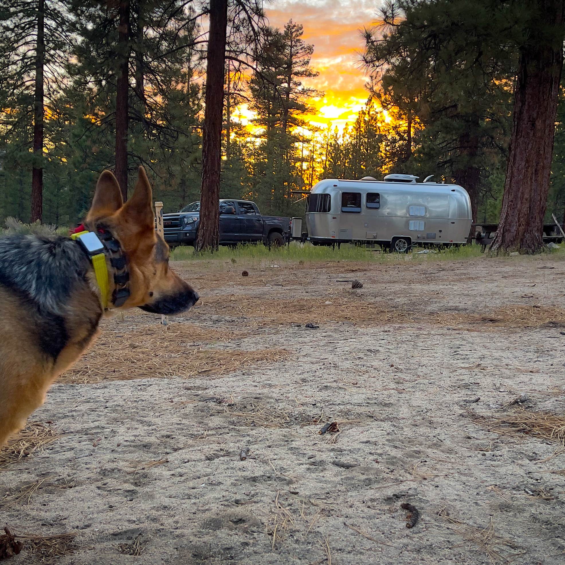 Coon Creek Yellow Post Sites Camping The Dyrt