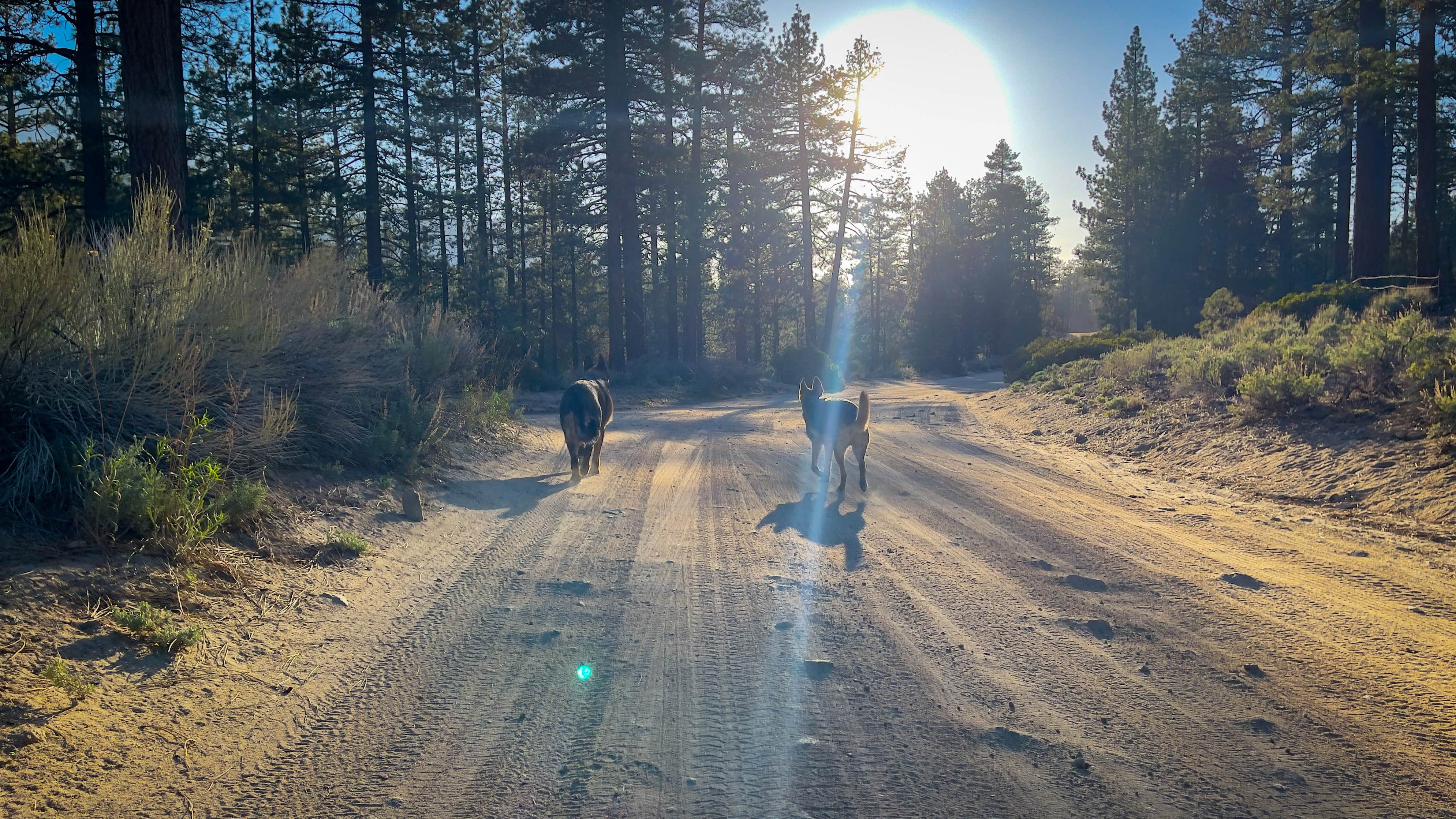 Camper-submitted photo at Coon Creek Yellow Post Sites near Forest Falls, CA