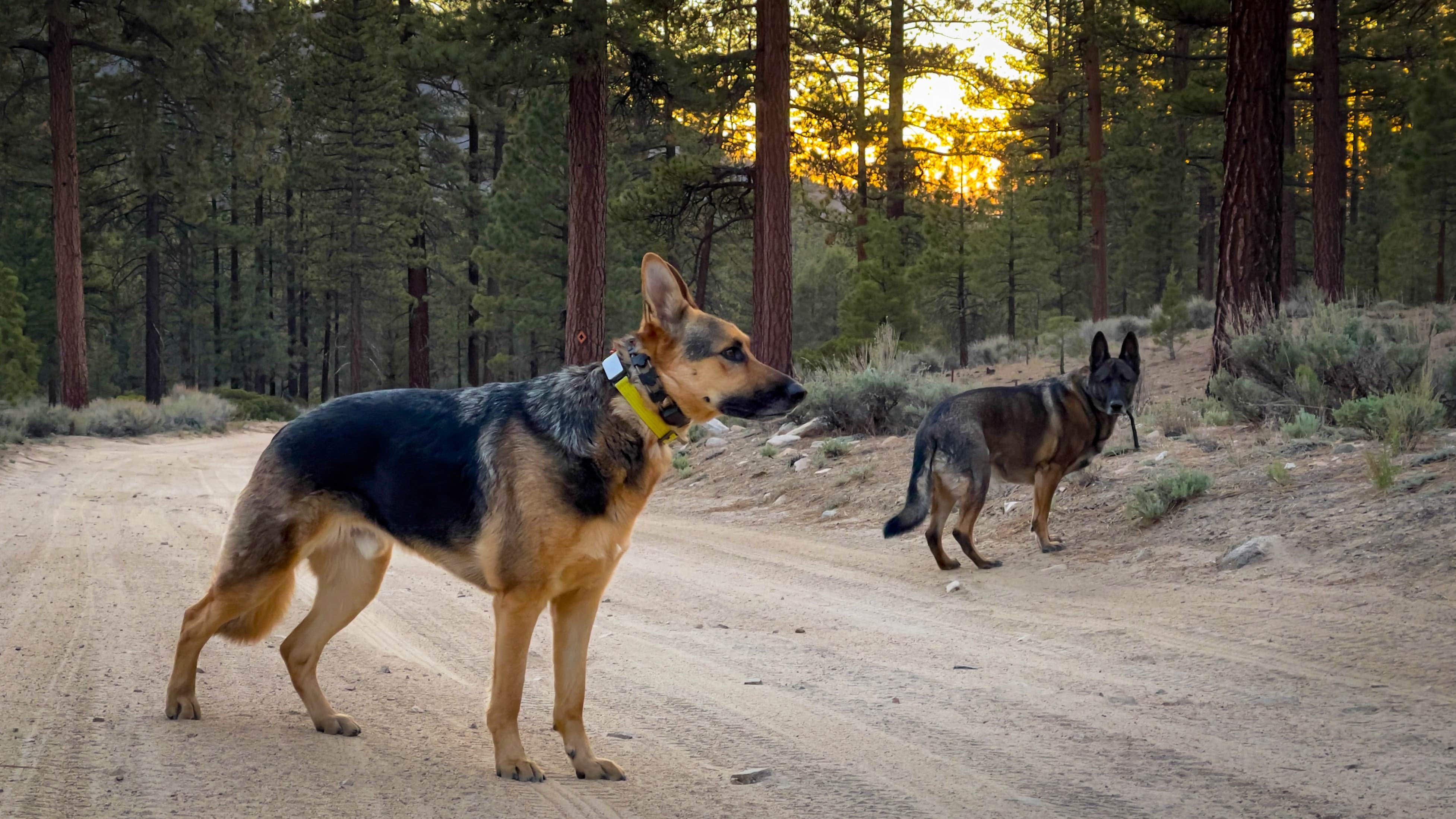 Camper-submitted photo at Coon Creek Yellow Post Sites near Forest Falls, CA