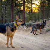 Review photo of Coon Creek Yellow Post Sites by will , May 21, 2022