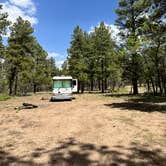Review photo of Coconino Rim Road Dispersed Camping by Robert G., May 21, 2022