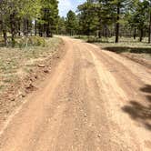 Review photo of Coconino Rim Road Dispersed Camping by Robert G., May 21, 2022