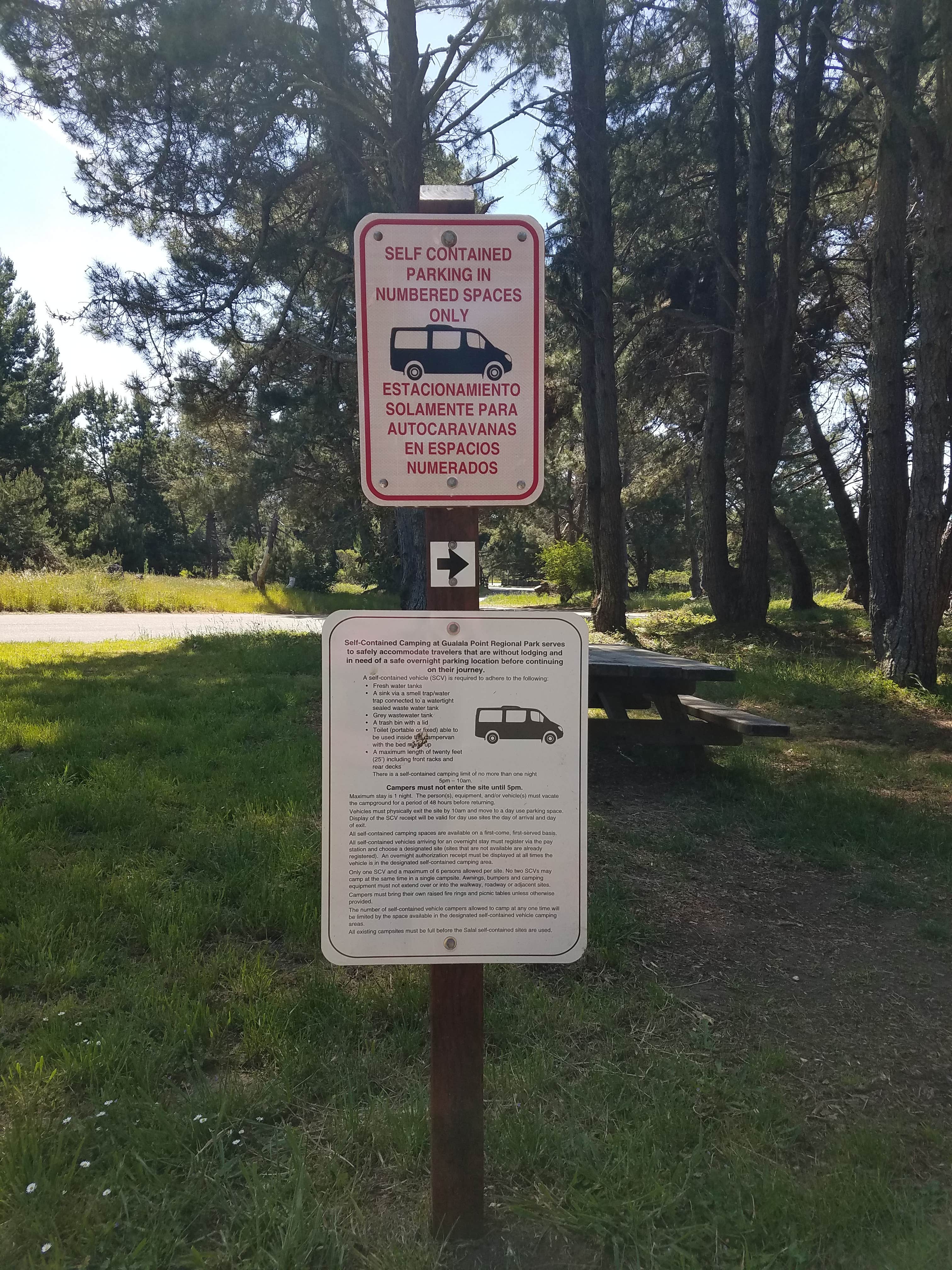 Camper submitted image from Gualala Point Regional Park - 5