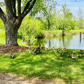 Review photo of Old Mill Run Park by Brian A., May 22, 2022