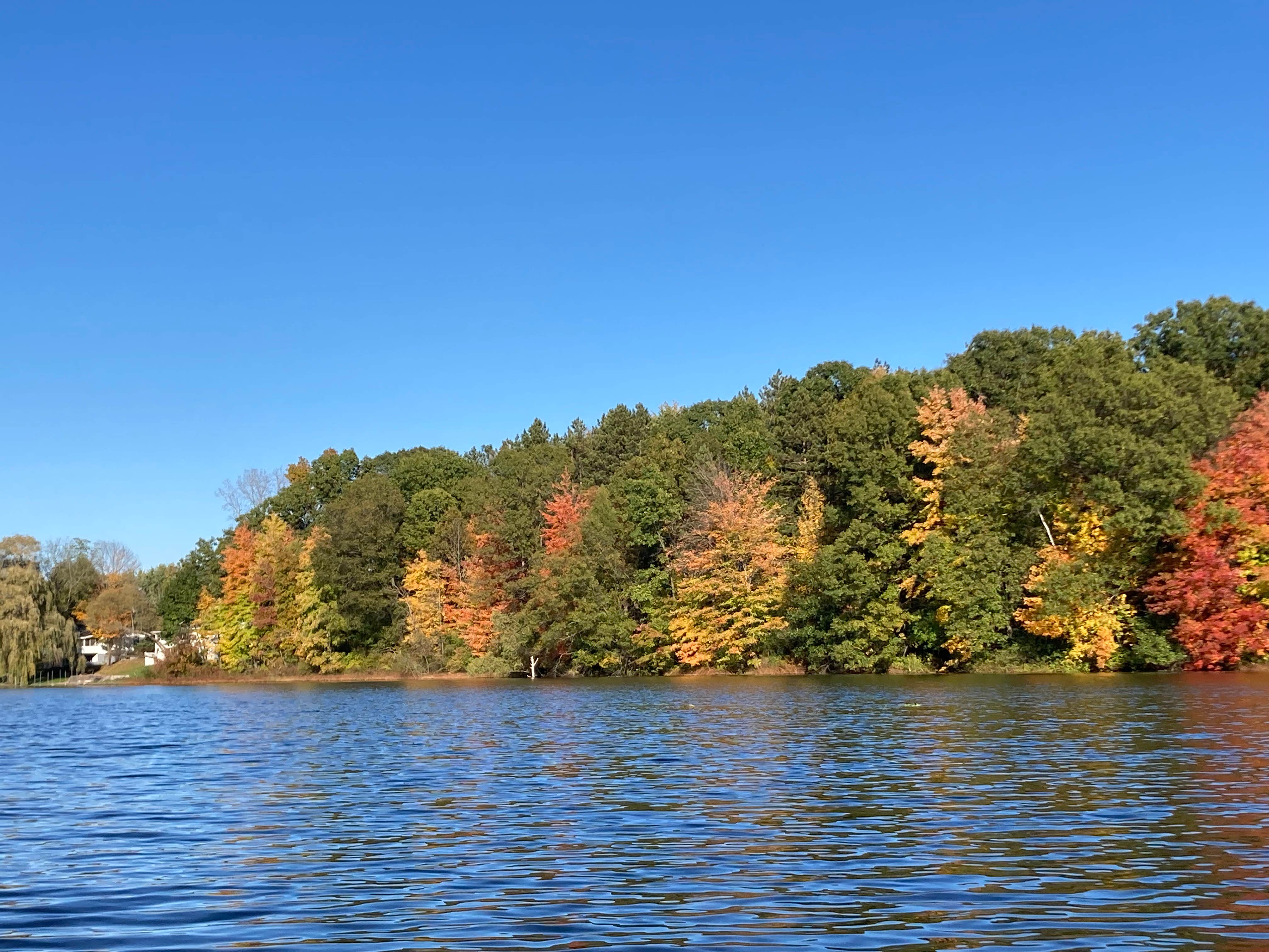 Camper-submitted photo at Sharp Park Campground near Caledonia, MI
