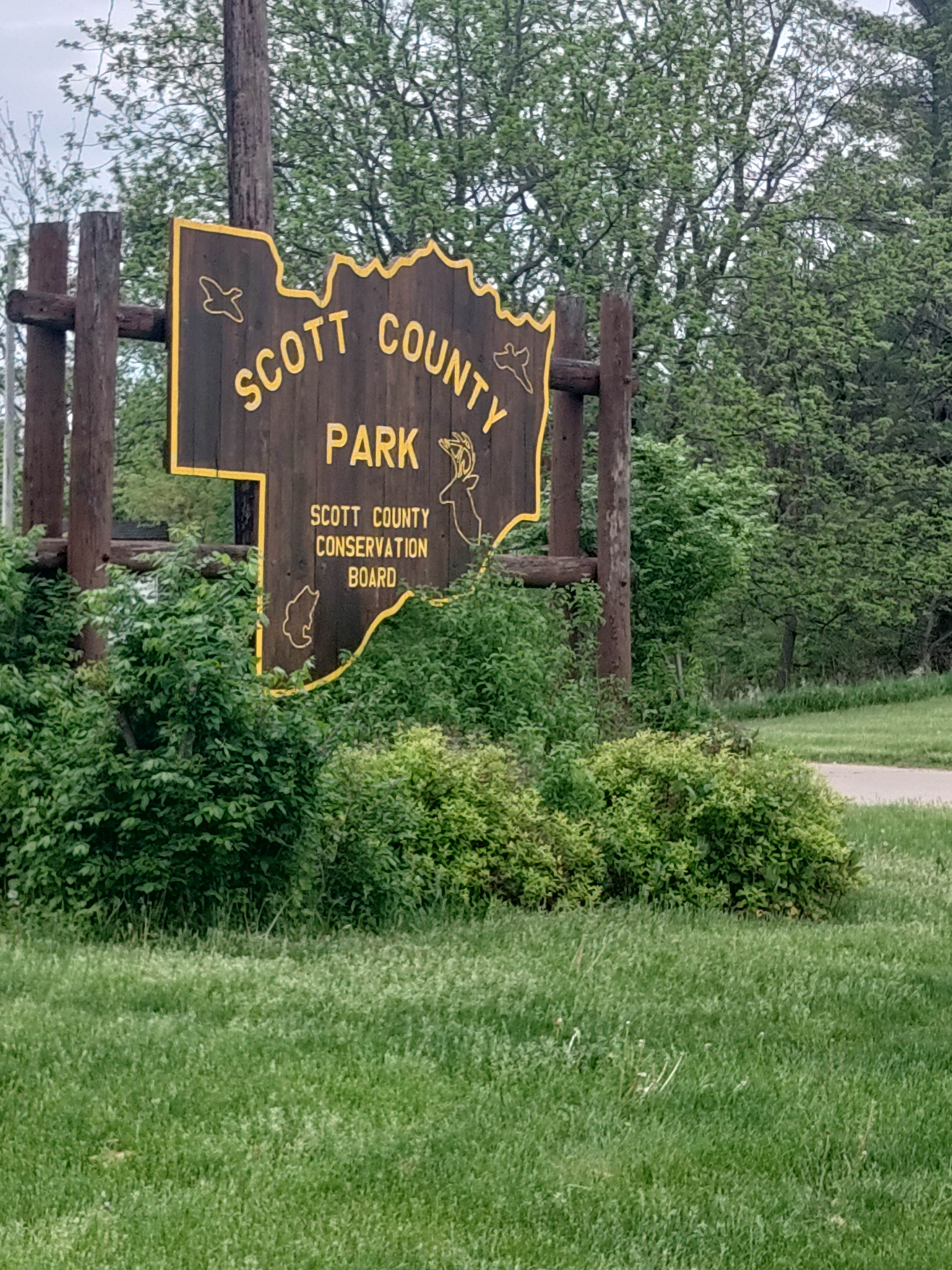 Camper submitted image from Incahias Campground - Scott County Park - 2