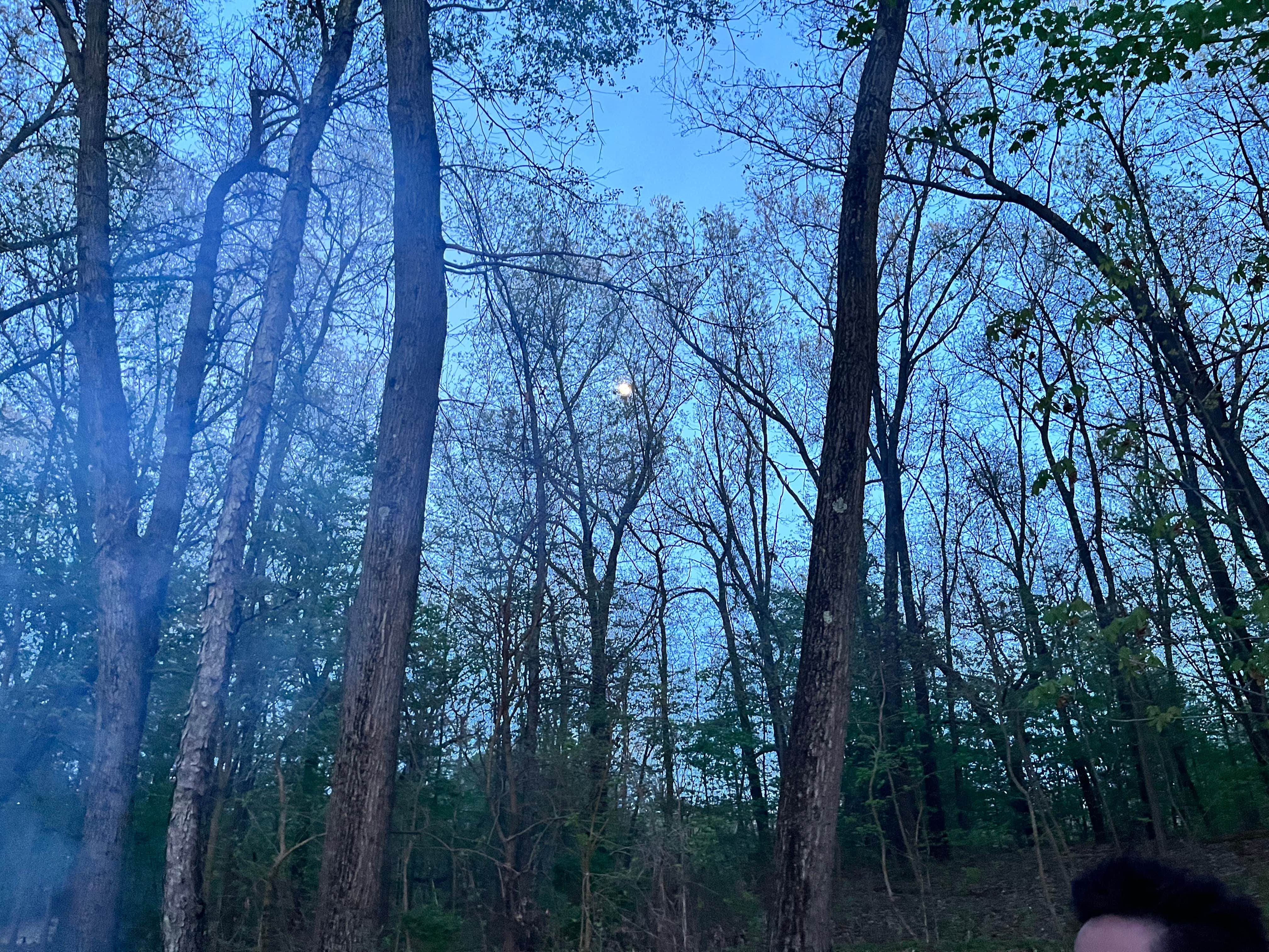 Camper-submitted photo at Sharp Park Campground near Caledonia, MI