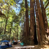 Review photo of Burlington Campground — Humboldt Redwoods State Park by Teresa V., May 22, 2022