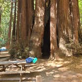 Review photo of Burlington Campground — Humboldt Redwoods State Park by Teresa V., May 22, 2022