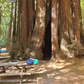 Review photo of Burlington - Humboldt Redwoods State Park by Teresa V., May 22, 2022