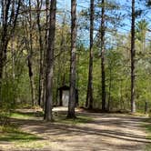 Review photo of Twelve Foot Falls County Park by Jolene L., May 21, 2022