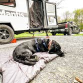 Review photo of Big Meadows Campground — Shenandoah National Park by Anthony I., May 22, 2022