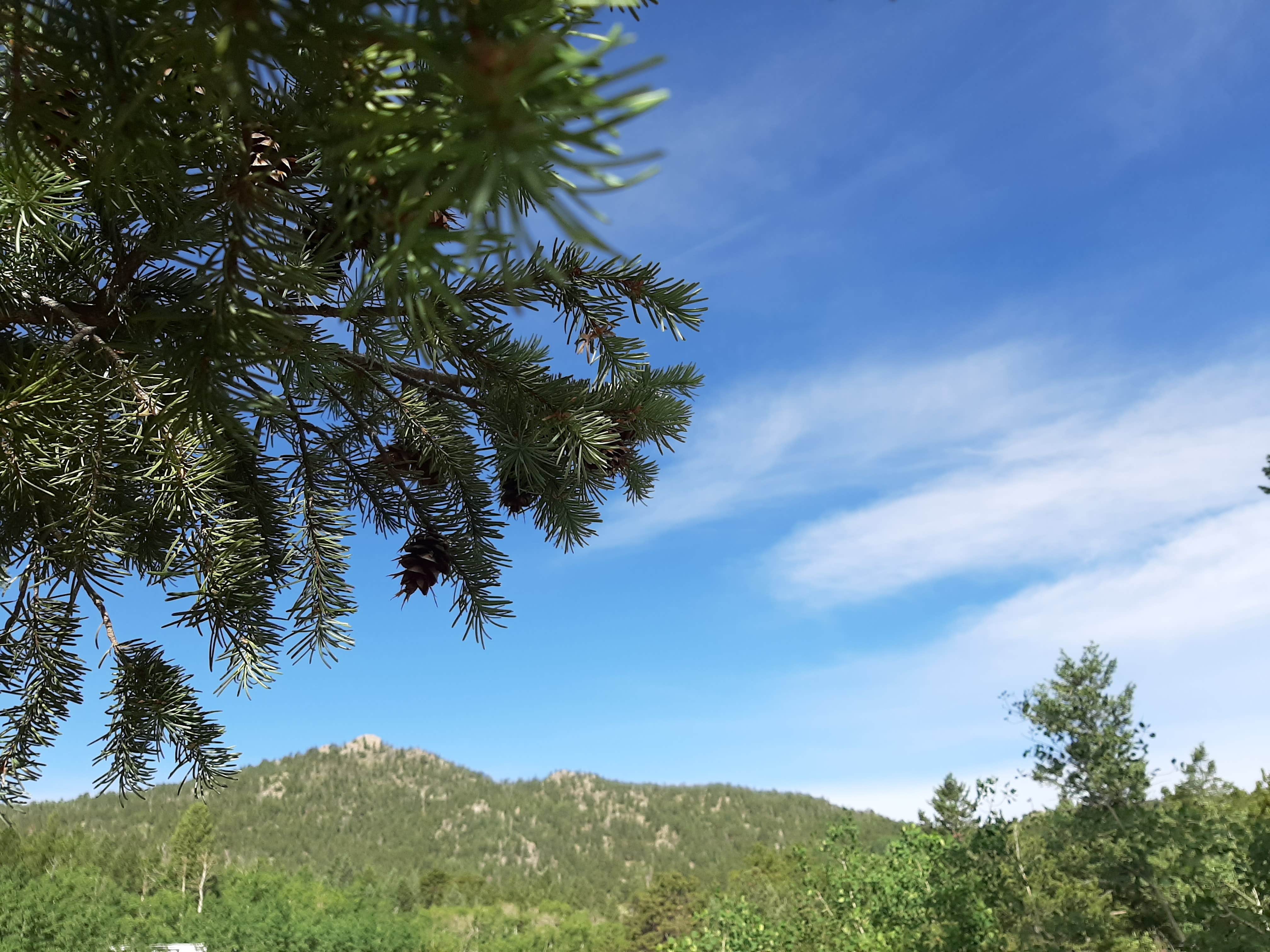 Camper submitted image from Hermit Park Open Space - Granite Gulch - 1