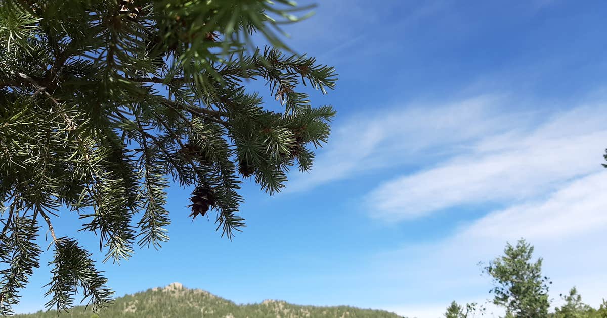 Granite Gulch Campground — Hermit Park Open Space