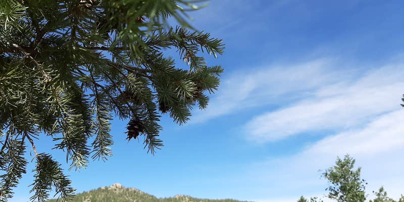 Camper submitted image from Granite Gulch Campground — Hermit Park Open Space