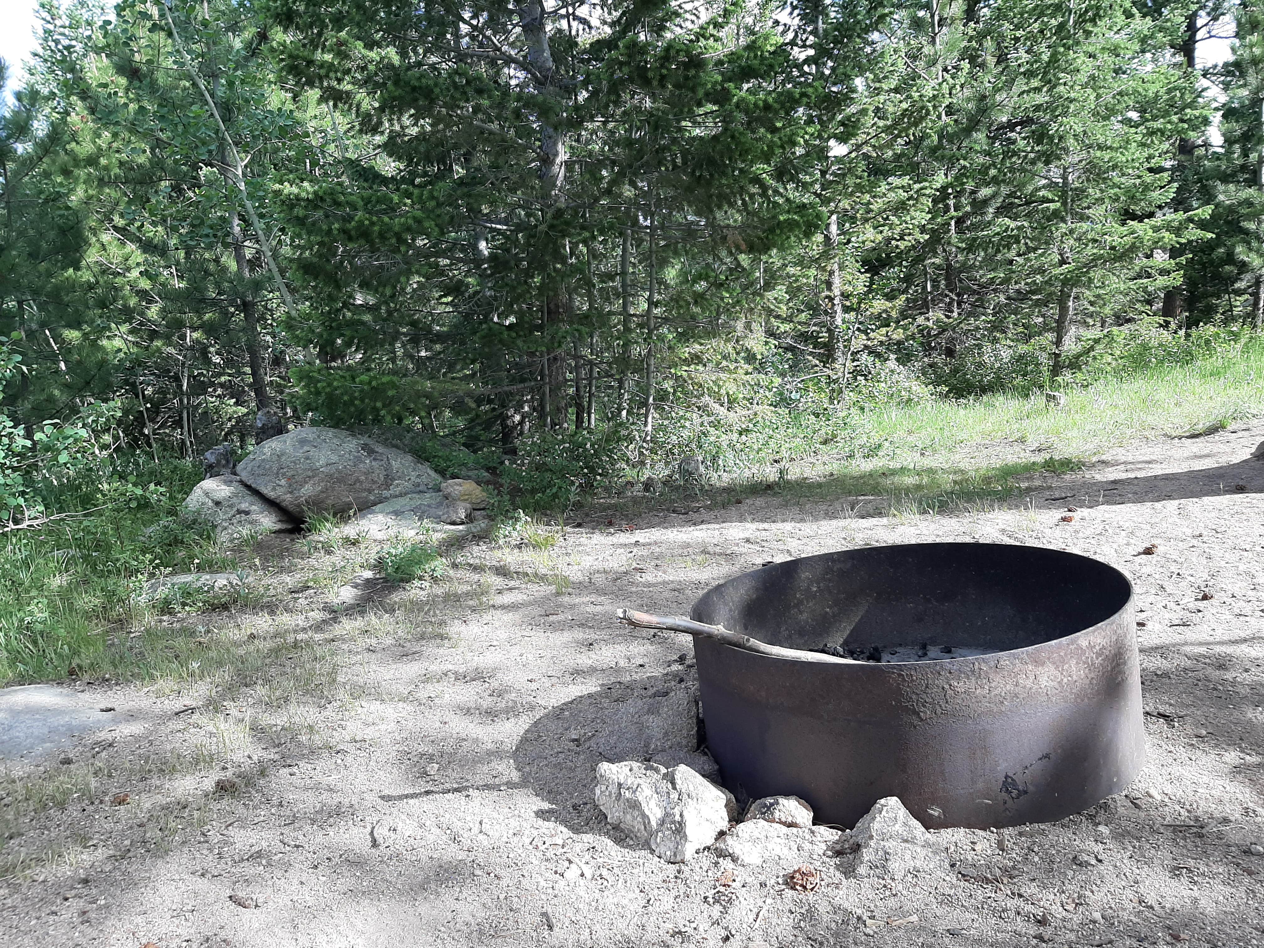 Camper submitted image from Hermit Park Open Space - Granite Gulch - 3