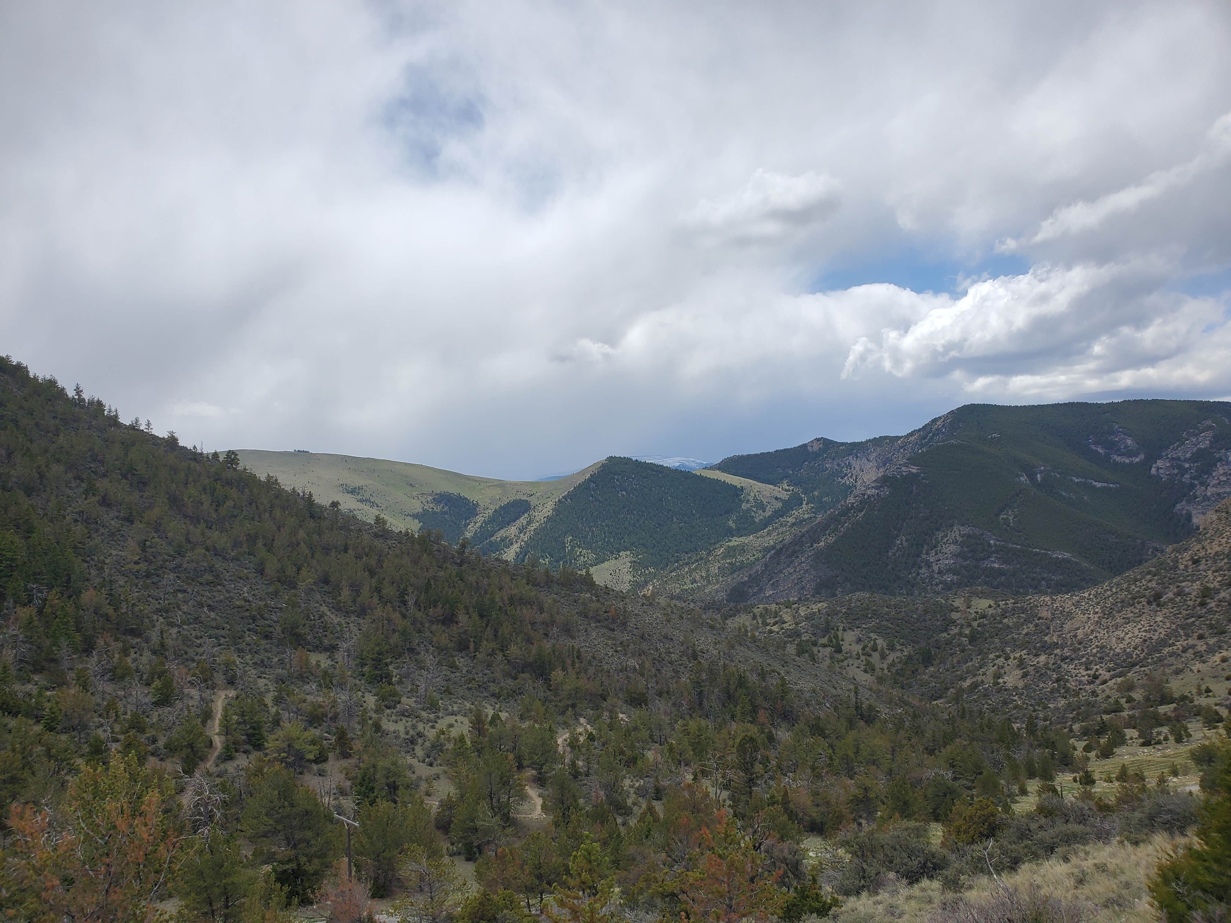 Camper-submitted photo at Lewis & Clark Campground near Lima, MT