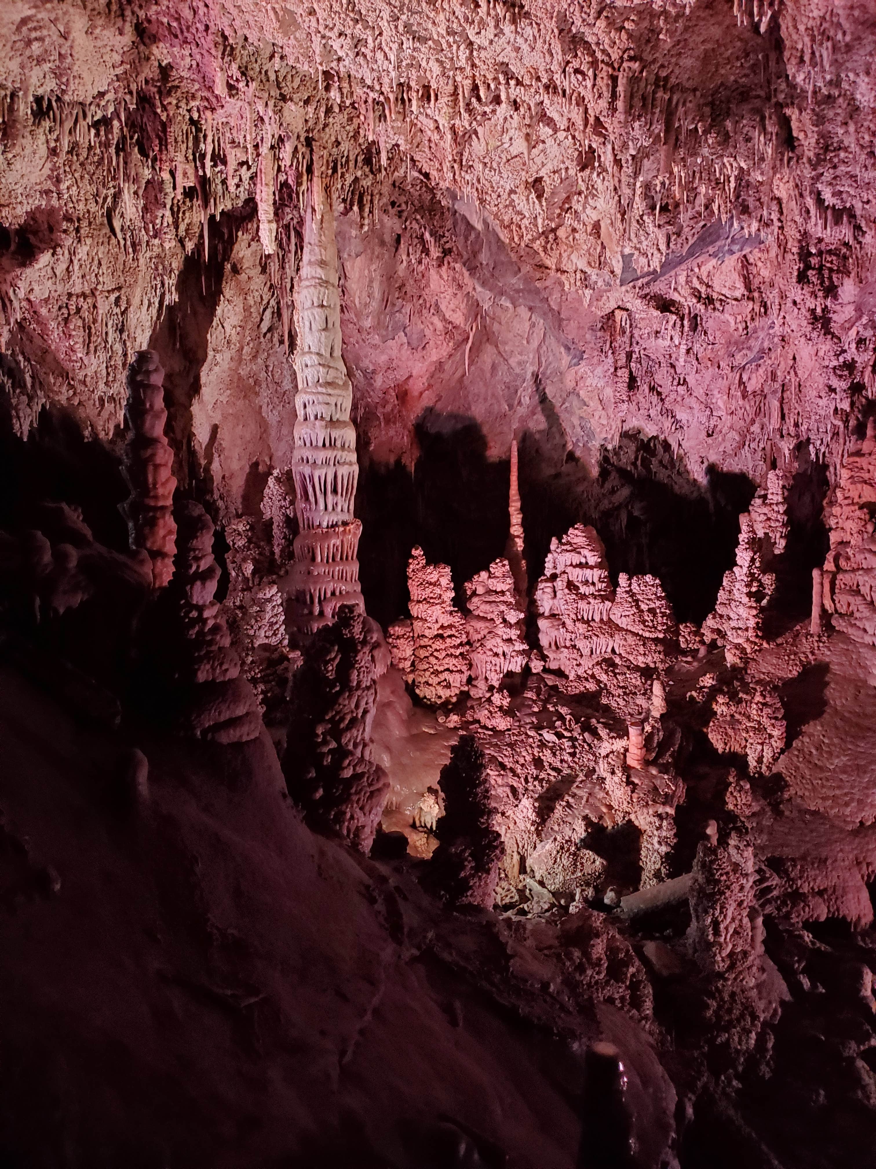 Camper-submitted photo at Lewis & Clark Campground near Lima, MT