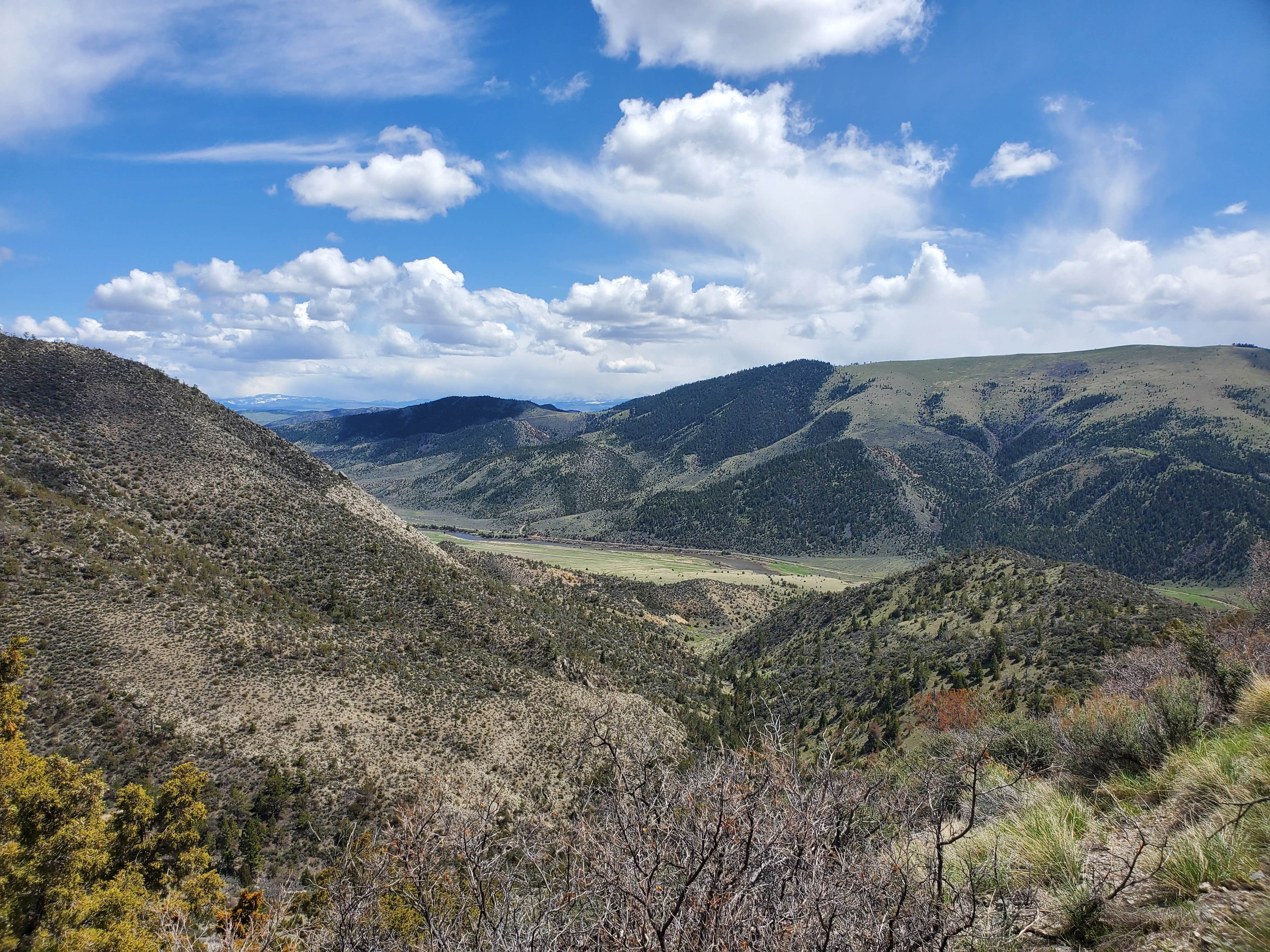 Camper submitted image from Lewis & Clark Campground - 1