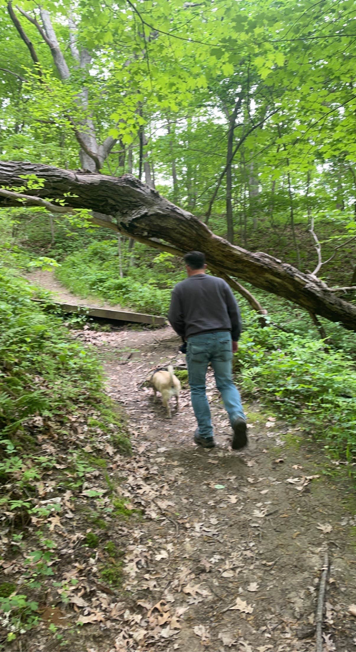 Stephanie S.'s photo of camping with pets at Mississippi Palisades State Park Campground near Galena, IL
