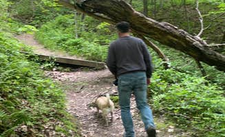 Stephanie S.'s photo of camping with pets at Mississippi Palisades State Park Campground near Galena, IL