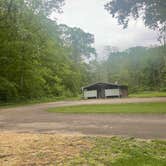 Review photo of Mississippi Palisades State Park Campground by Stephanie S., May 22, 2022