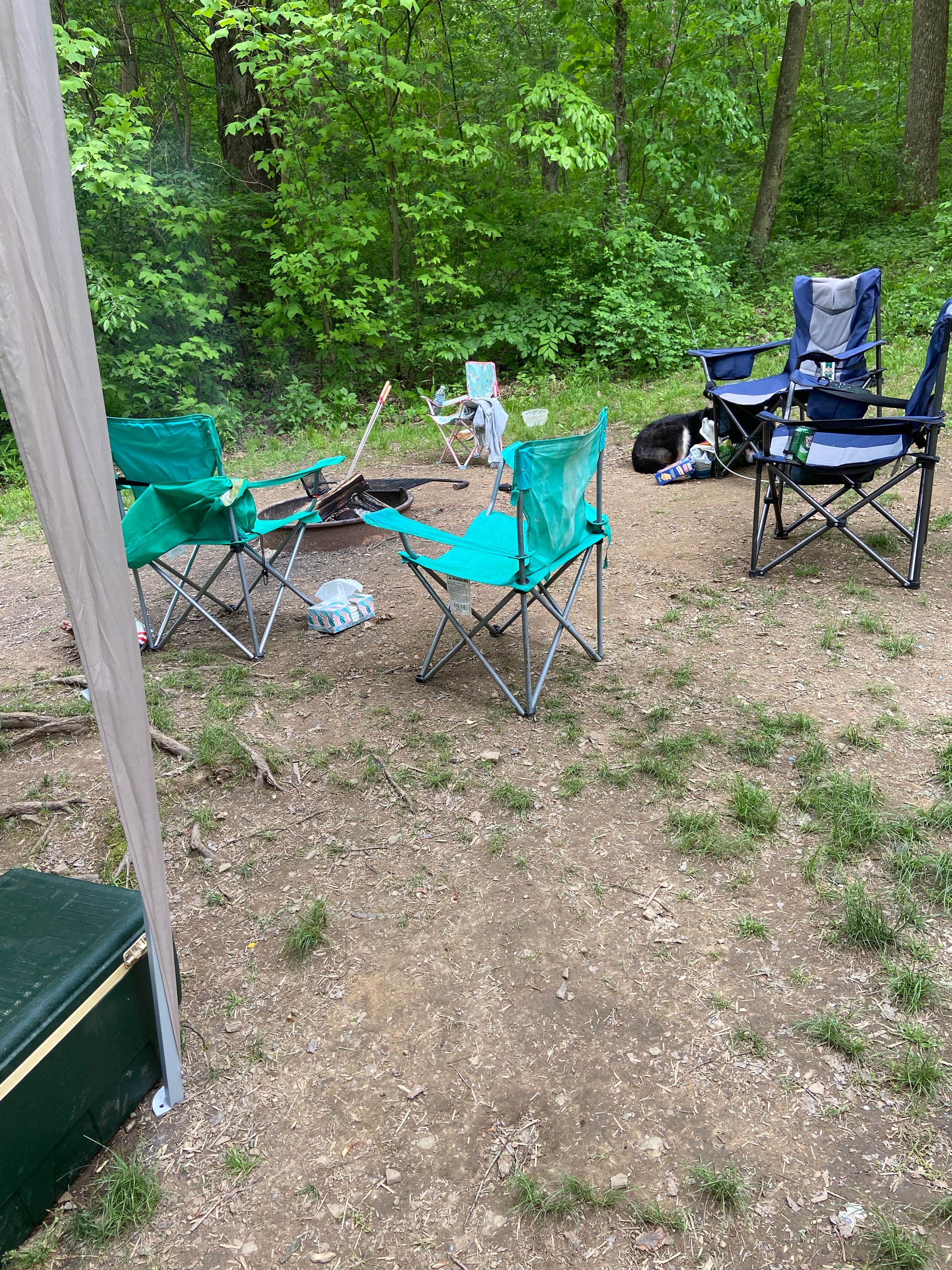 Noah B.'s photo at Keystone State Park Campground near Cabot, PA