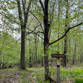 Review photo of Wild River State Park Campground by Abby K., May 22, 2022