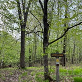 Review photo of Wild River State Park by Abby K., May 22, 2022