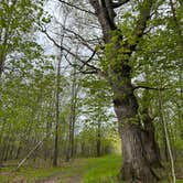 Review photo of Wild River State Park Campground by Abby K., May 22, 2022