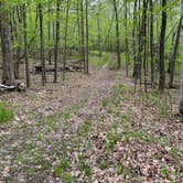 Review photo of Wild River State Park Campground by Abby K., May 22, 2022