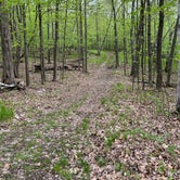 Review photo of Wild River State Park by Abby K., May 22, 2022