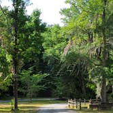 Review photo of Florence Marina State Park Campground by Fran H., May 22, 2022