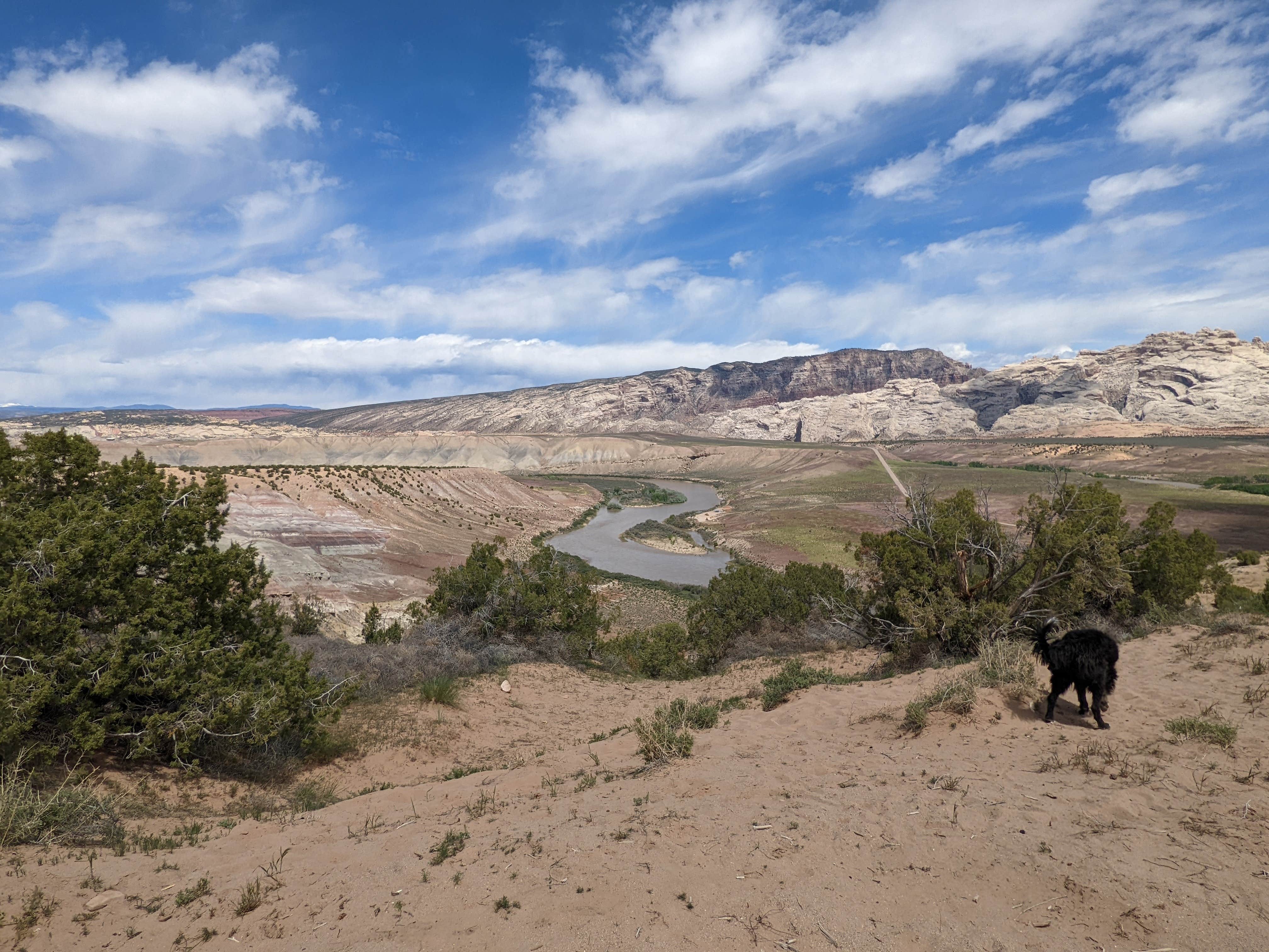 Camper-submitted photo at BLM 17 Road Dispersed Camping near Dinosaur National Monument