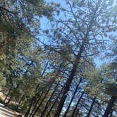 Review photo of Hualapai Mountain Park by Autumn S., May 22, 2022