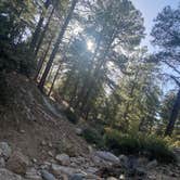 Review photo of Hualapai Mountain Park by Autumn S., May 22, 2022