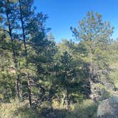 Review photo of Hualapai Mountain Park by Autumn S., May 22, 2022