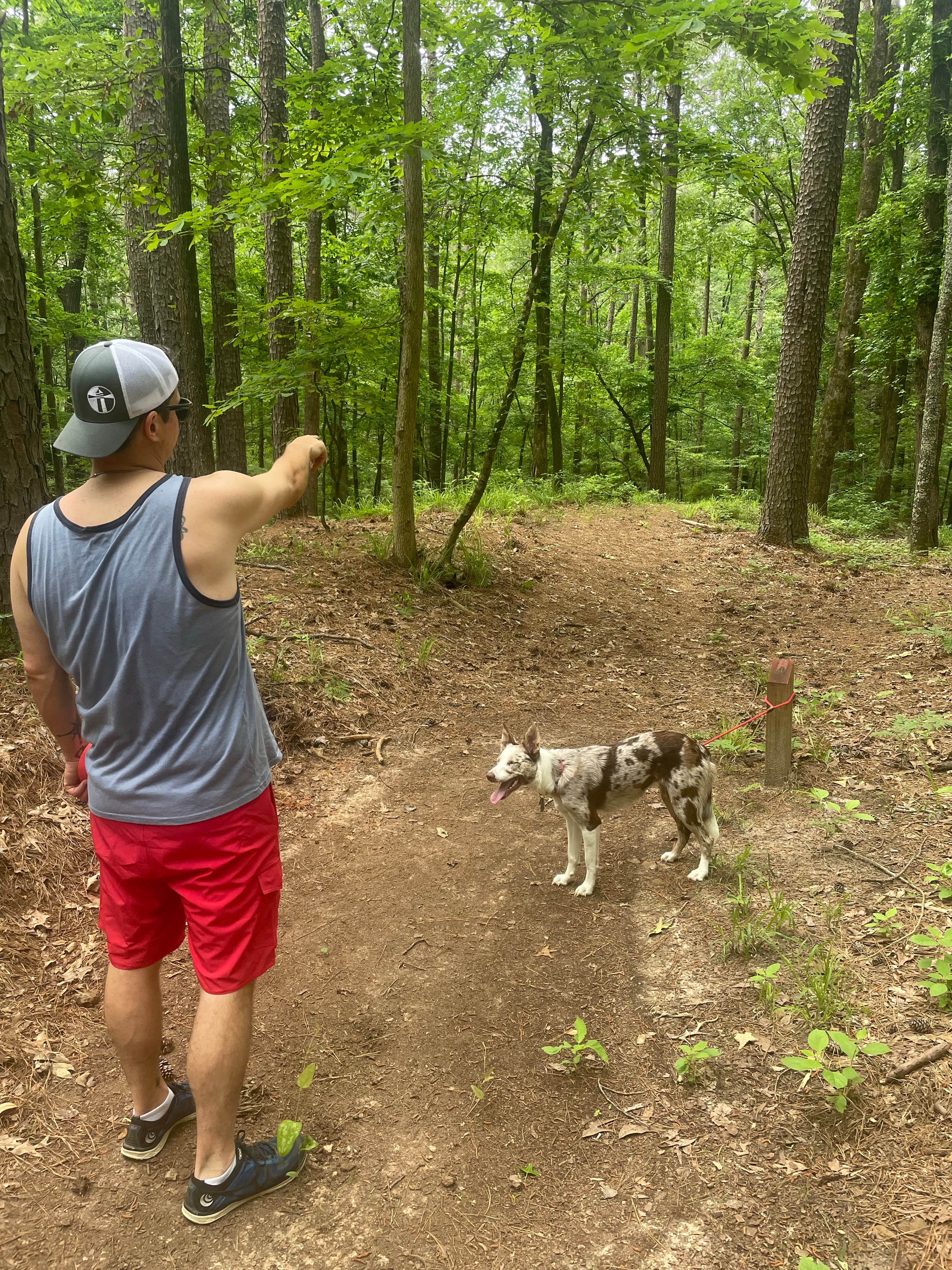 Penny A.'s photo of camping with pets at Lake Claiborne State Park Campground near Bossier City, LA