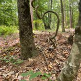 Review photo of Lake Claiborne State Park Campground by Penny A., May 22, 2022