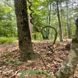 Lake Claiborne State Park Campground