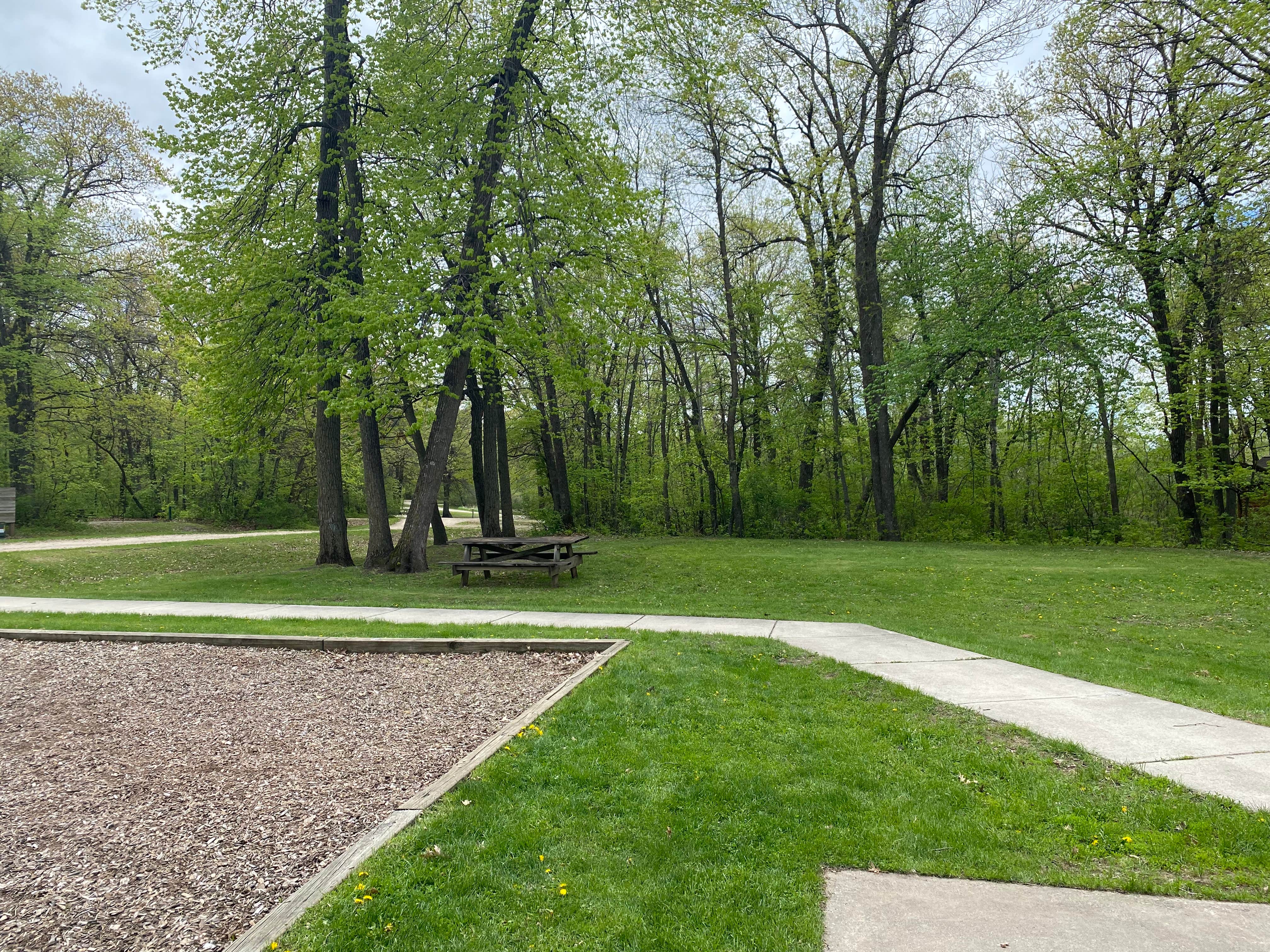 Camper-submitted photo at Lake Koronis Regional Park near Willmar, MN