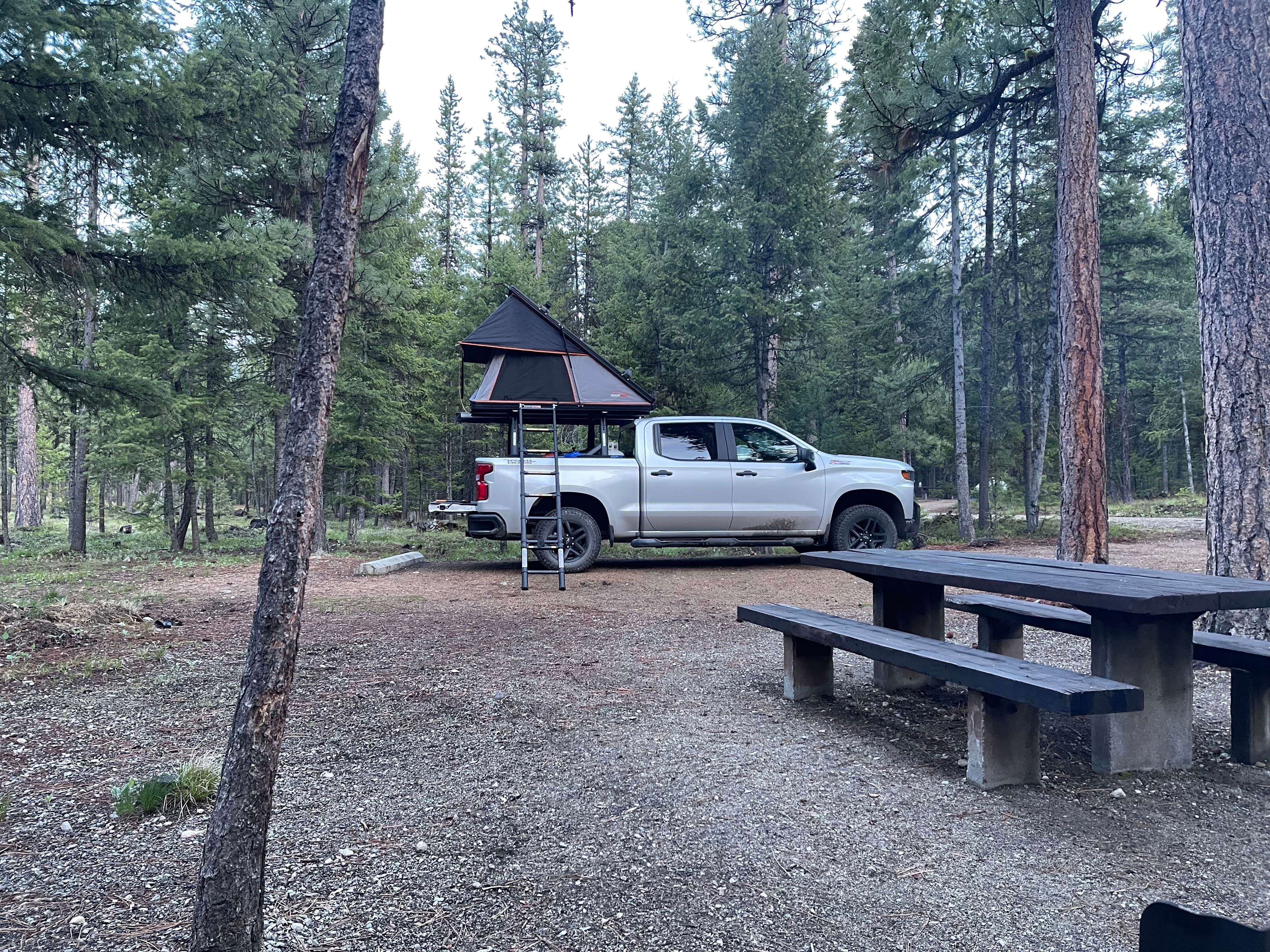 Camper submitted image from Sam Billings Memorial Campground - 3