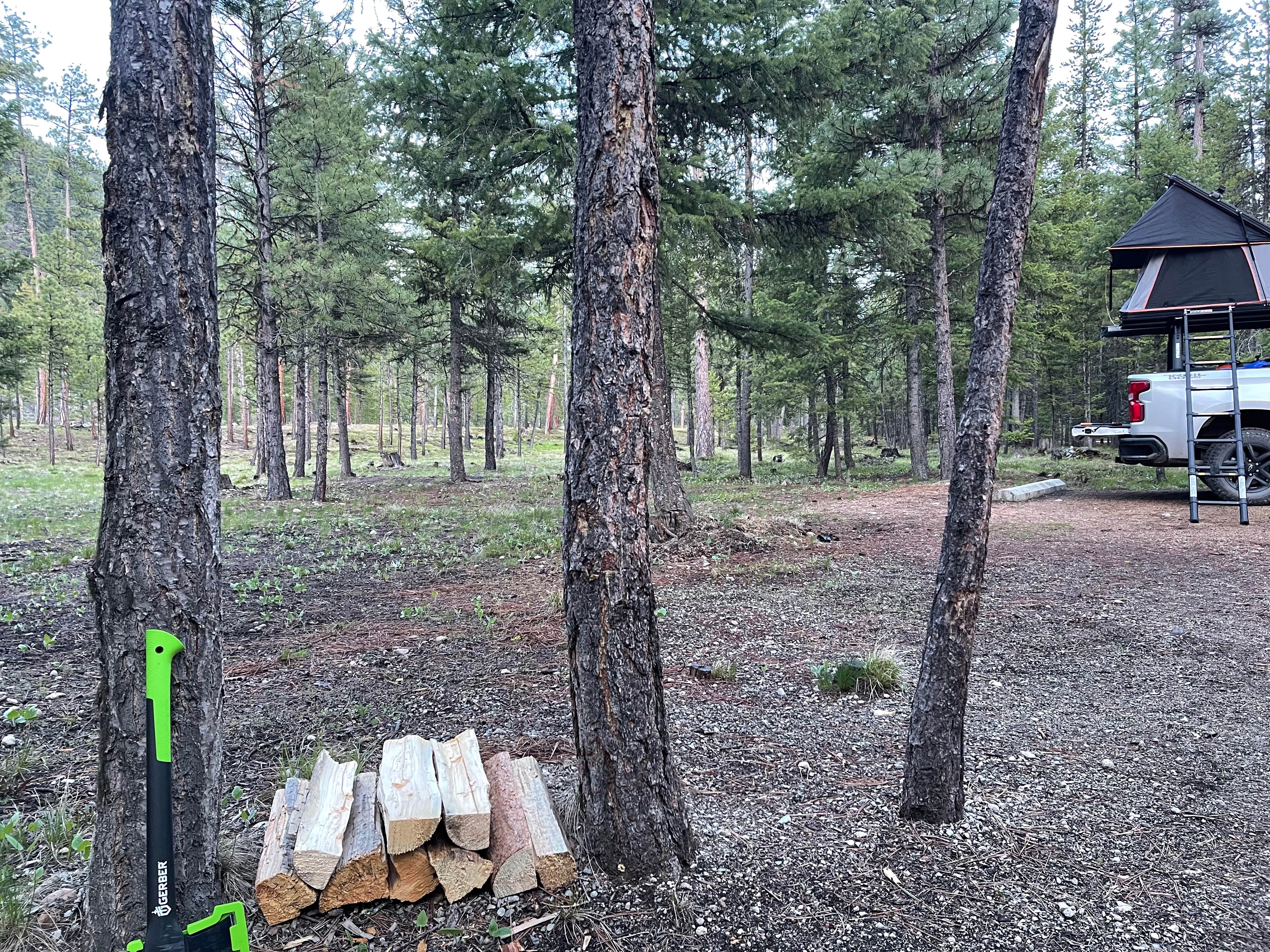 Camper-submitted photo at Sam Billings Memorial Campground near Conner, MT