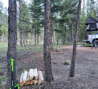 Camper-submitted photo from Sam Billings Memorial Campground